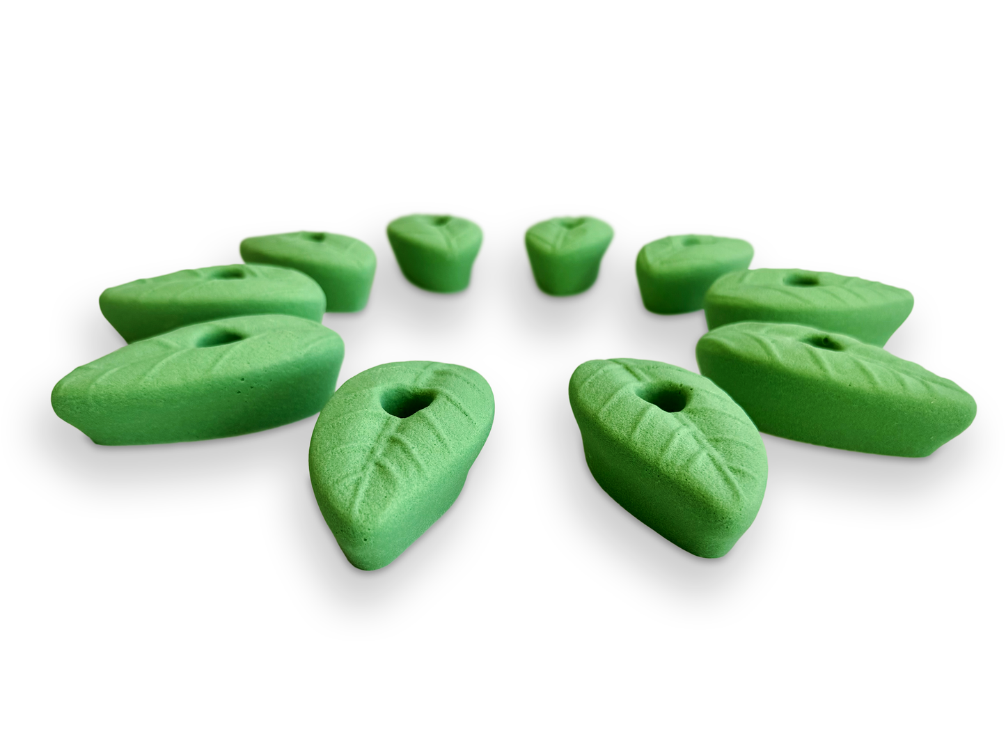 Set of 10 Natural Leaf Shaped Climbing Holds