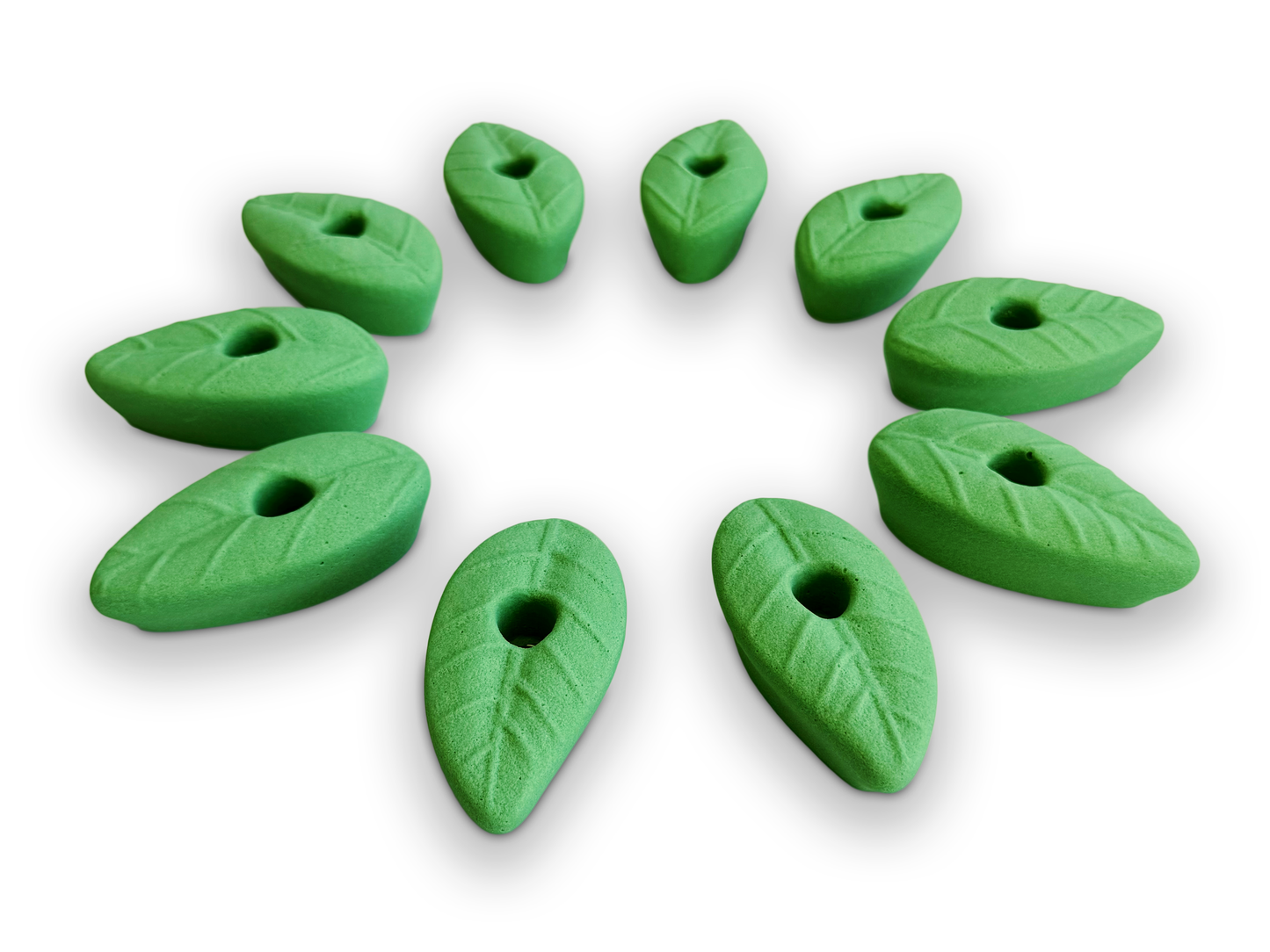 Set of 10 Natural Leaf Shaped Climbing Holds