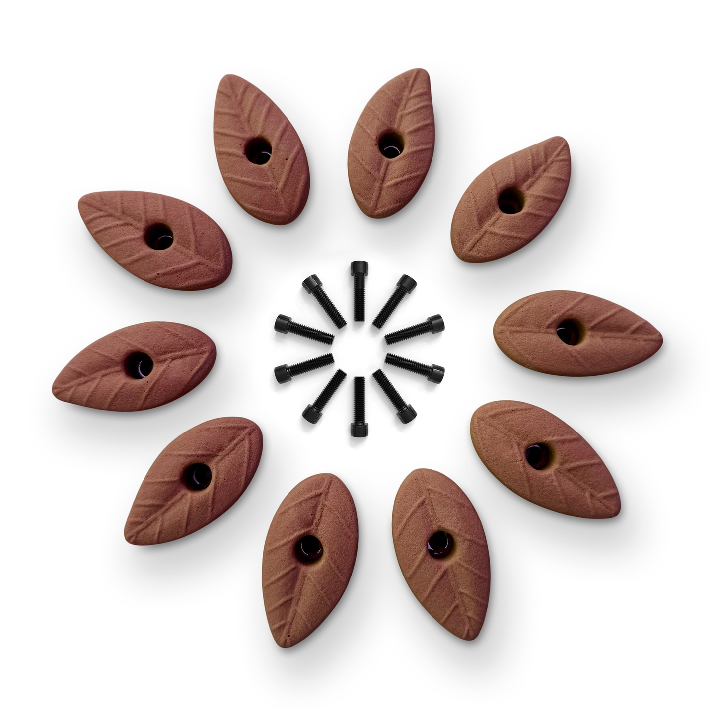 Set of 10 Natural Leaf Shaped Climbing Holds