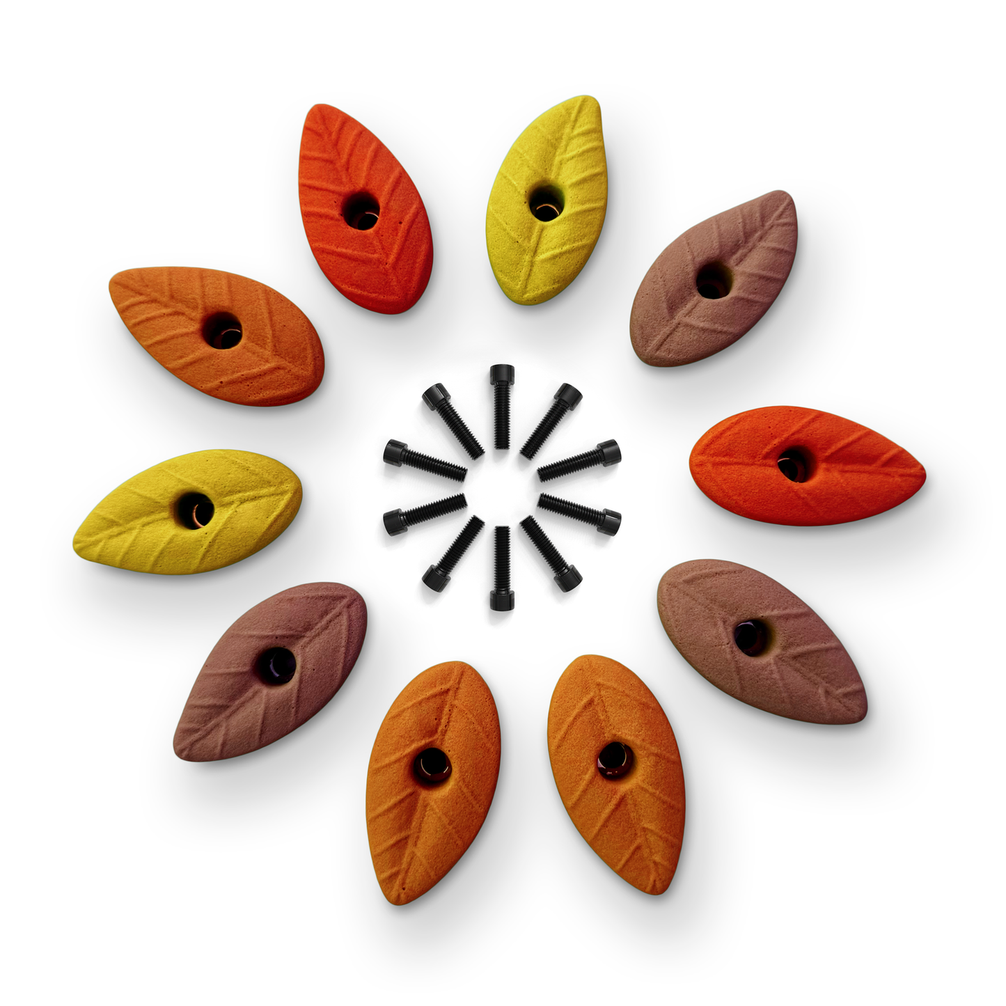 Set of 10 Natural Leaf Shaped Climbing Holds