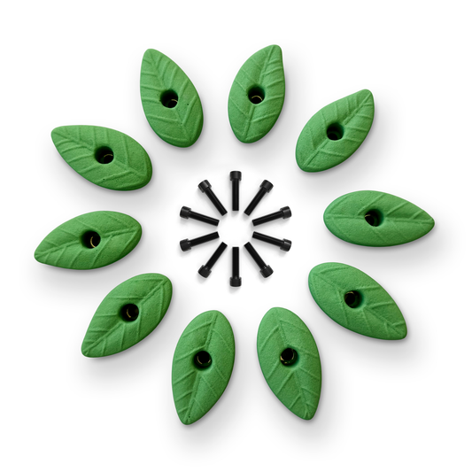 Set of 10 Natural Leaf Shaped Climbing Holds