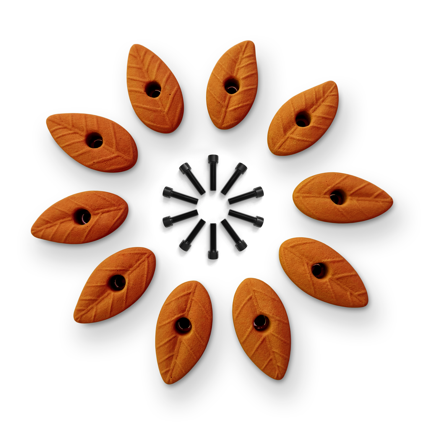 Set of 10 Natural Leaf Shaped Climbing Holds