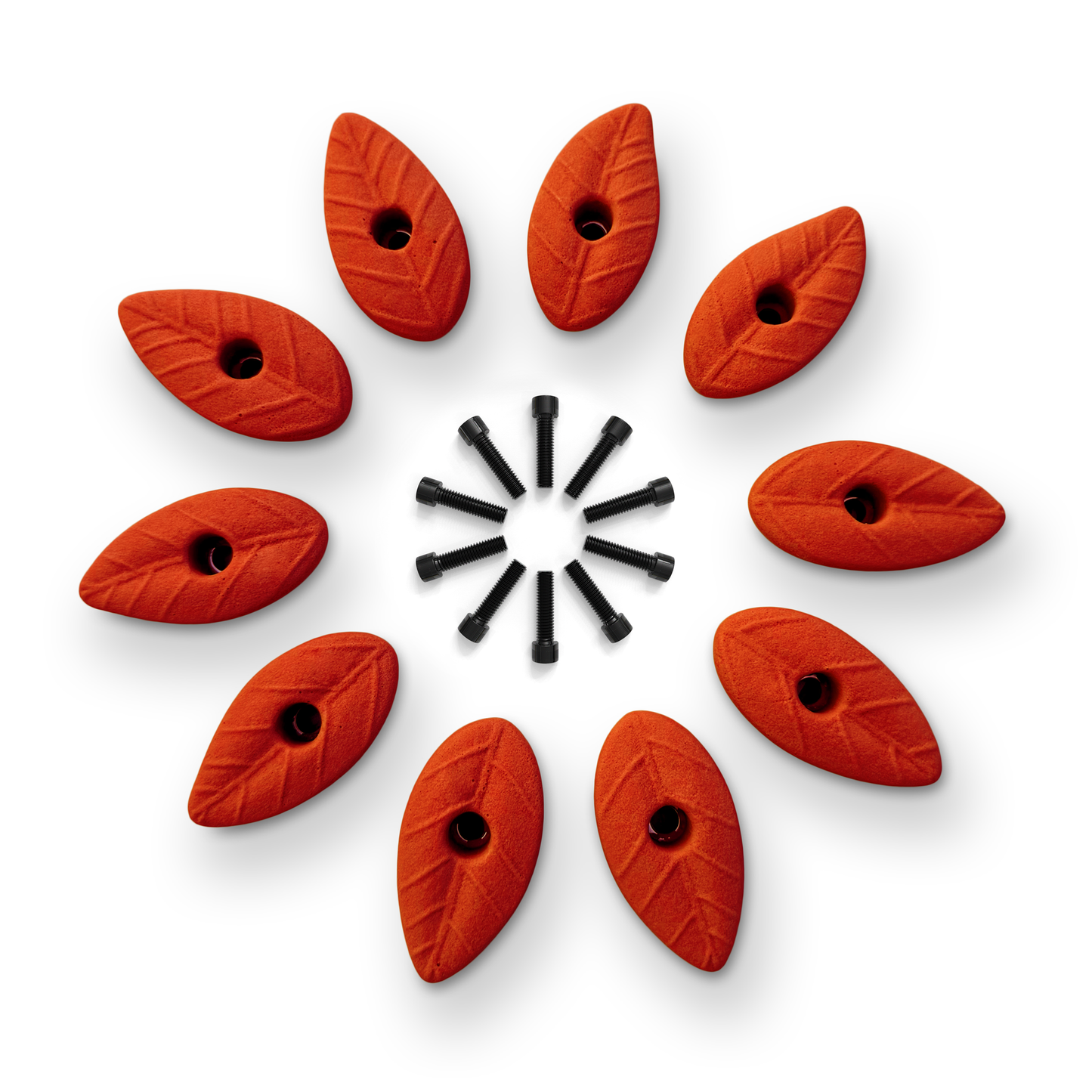 Set of 10 Natural Leaf Shaped Climbing Holds