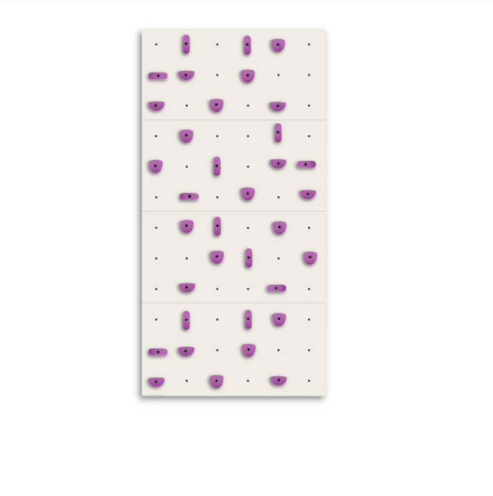 Set of 4 Climbing Panels + 40 Holds (approx. 29 sqft)