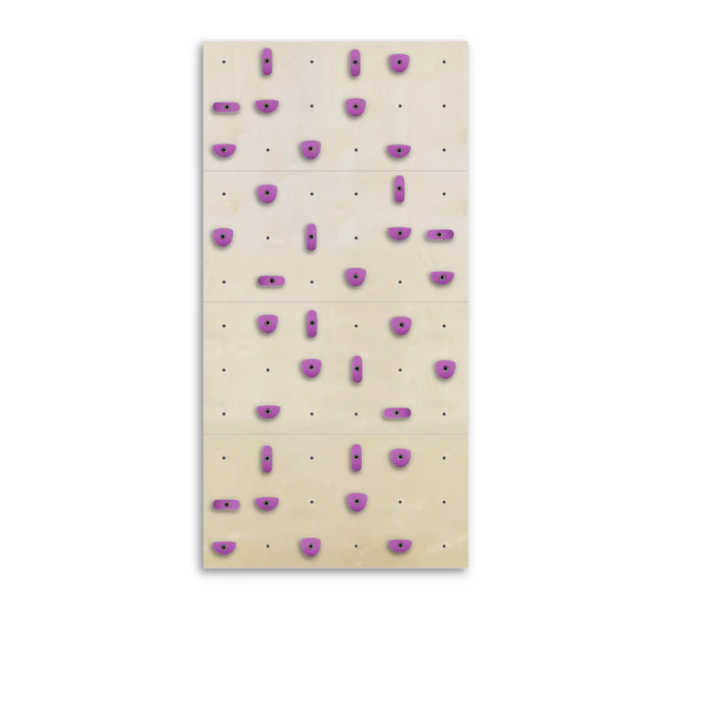 Set of 4 Climbing Panels + 40 Holds (approx. 29 sqft)