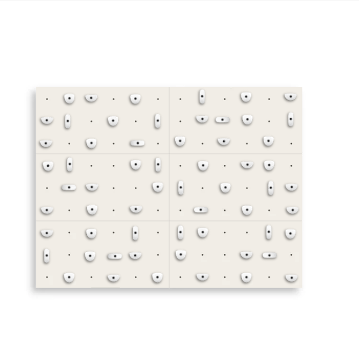 Set of 6 Climbing Panels + 60 Holds (approx. 44 sqft)