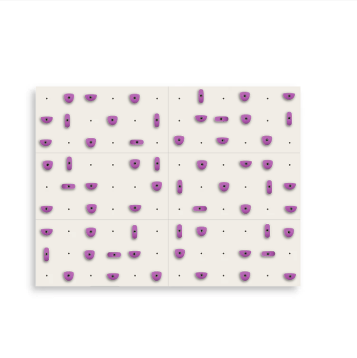 Set of 6 Climbing Panels + 60 Holds (approx. 44 sqft)