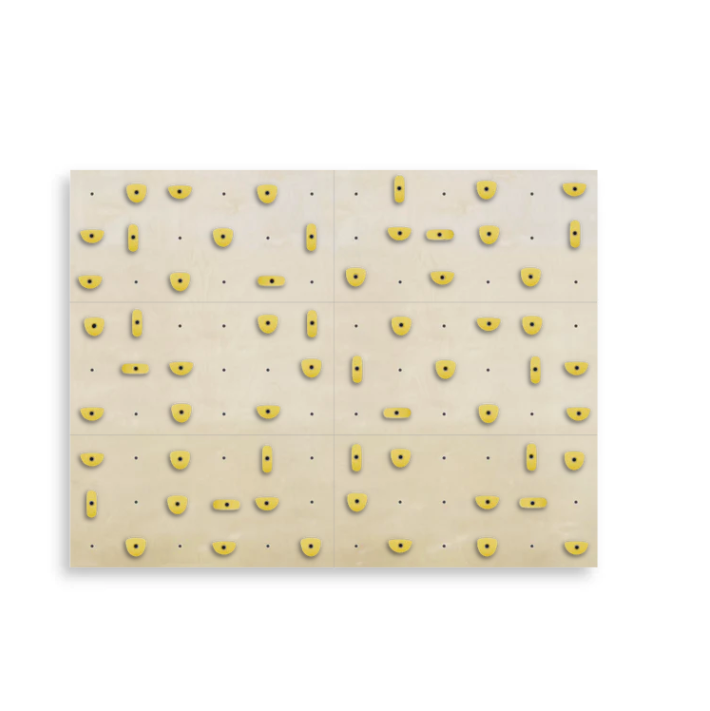 Set of 6 Climbing Panels + 60 Holds (approx. 44 sqft)