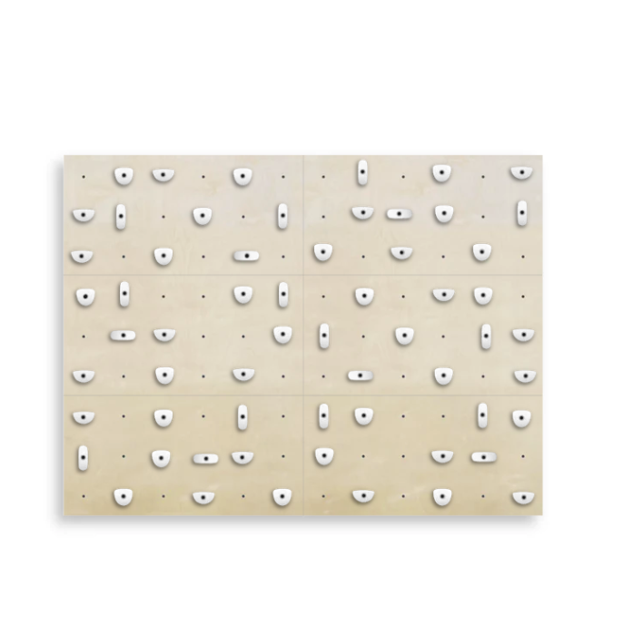 Set of 6 Climbing Panels + 60 Holds (approx. 44 sqft)
