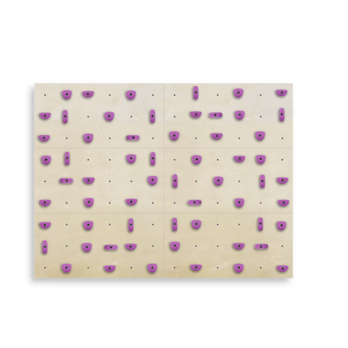 Set of 6 Climbing Panels + 60 Holds (approx. 44 sqft)