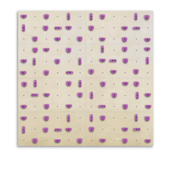 Set of 8 Climbing Panels + 80 Holds (approx. 59 sqft)