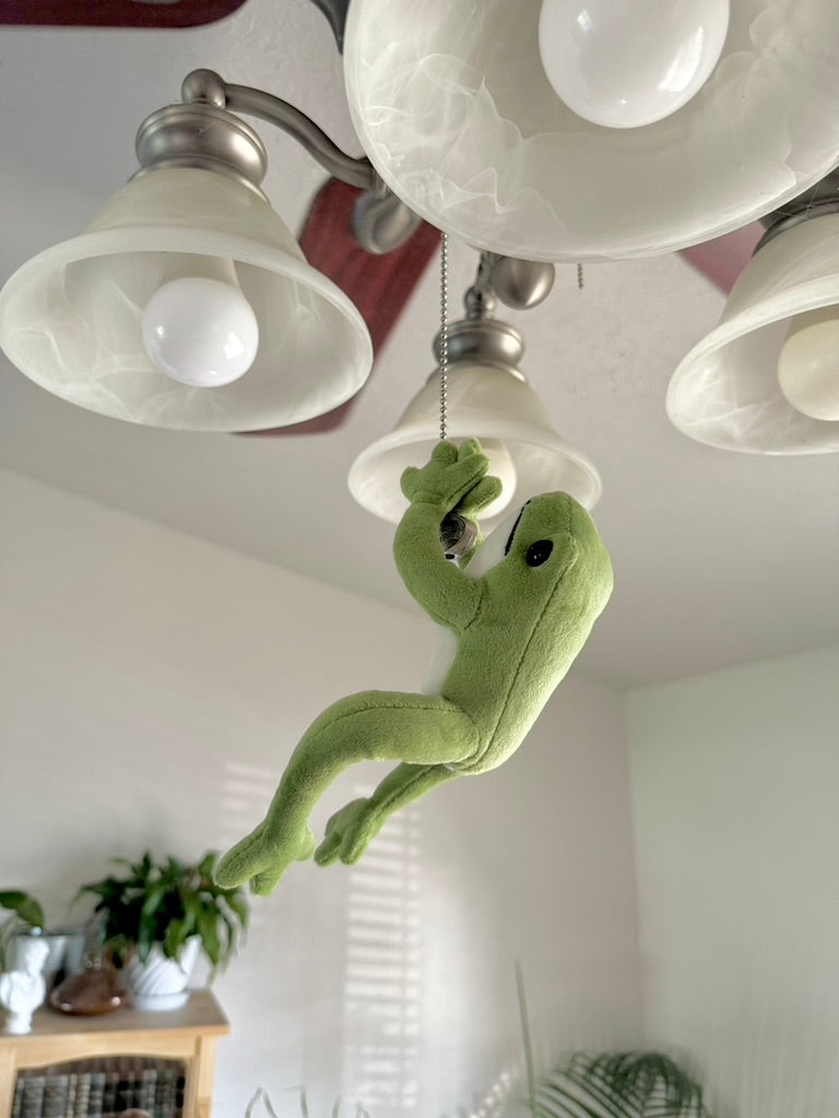 Benji the Tree Frog - Plush Animal - Posable, Magnetic – Tree Frog Play