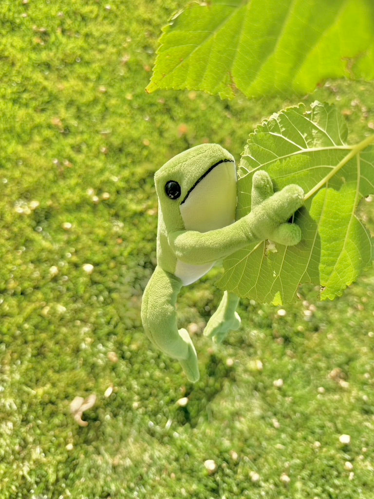 Benji the Tree Frog - Plush Animal - Posable, Magnetic