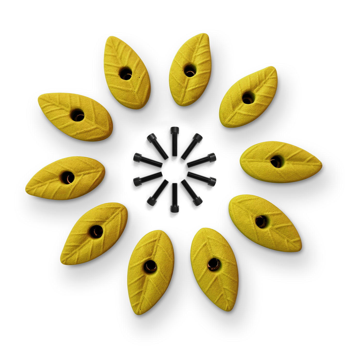 Set of 10 Natural Leaf Shaped Climbing Holds