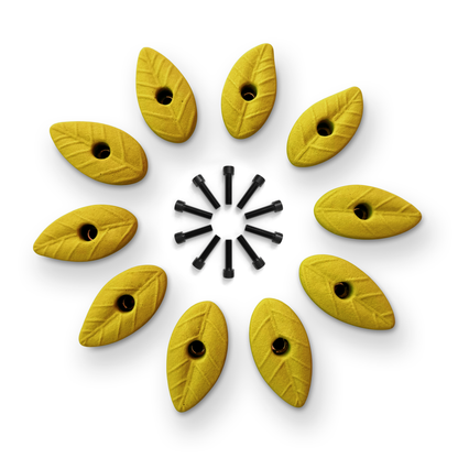 Set of 10 Natural Leaf Shaped Climbing Holds