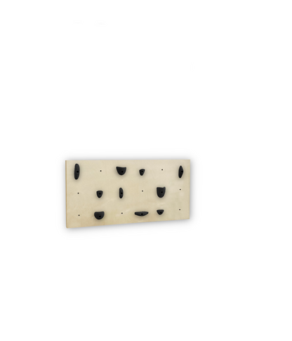 BUNDLE - 1X Birch Panel - Home Climbing Wall Starter Kit