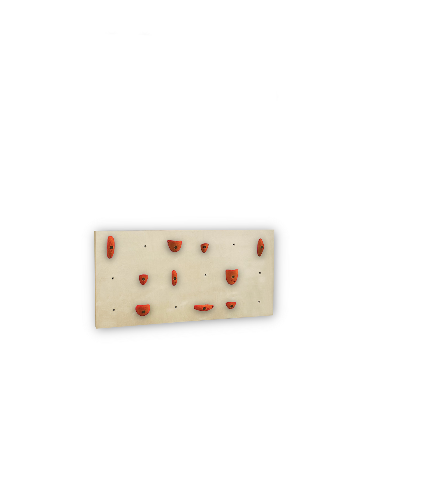 BUNDLE - 1X Birch Panel - Home Climbing Wall Starter Kit