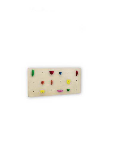 BUNDLE - 1X Birch Panel - Home Climbing Wall Starter Kit