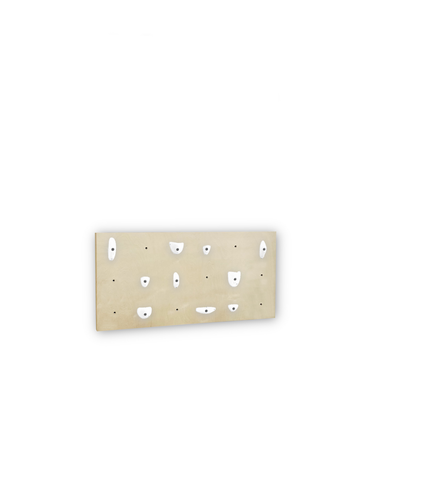 BUNDLE - 1X Birch Panel - Home Climbing Wall Starter Kit